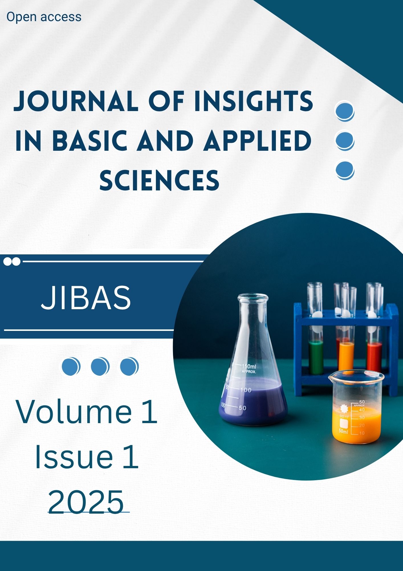 					View Volume 1, Issue 1, 2025
				